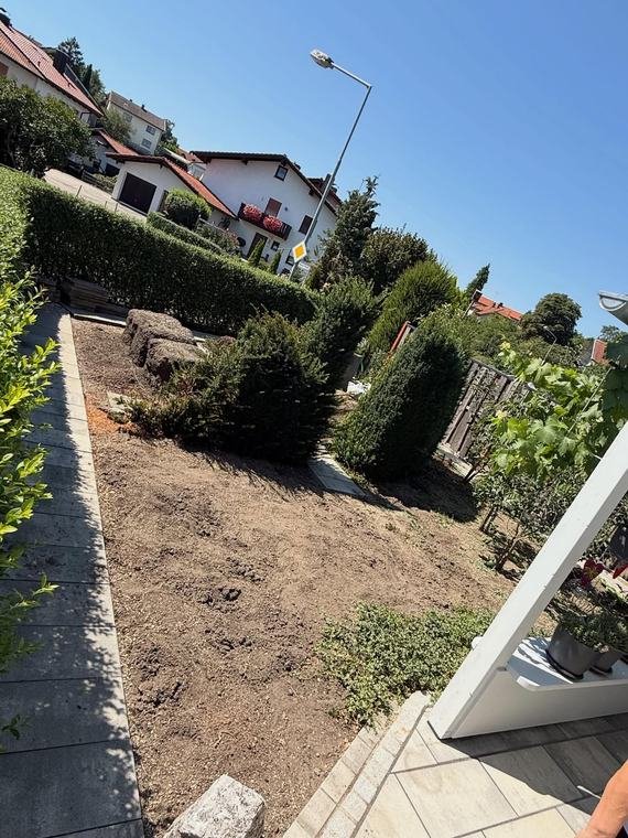 Ungepflegte Grundstücksfläche vor der Bearbeitung